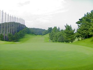 よみうりゴルフ倶楽部にて撮影