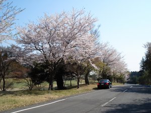 20090411