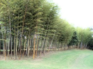 20090911