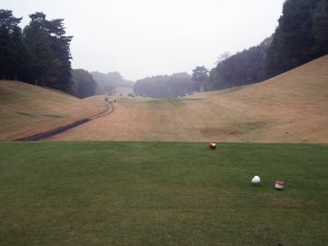 20091108