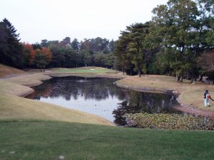 20091108