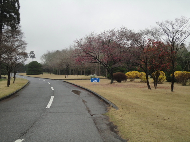 20140406