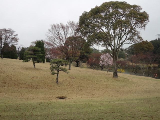 20140406