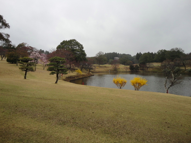20140406