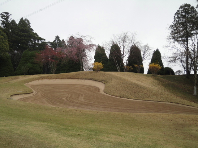 20140406