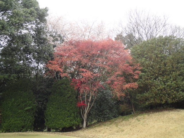 20140406