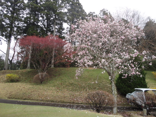 20140406