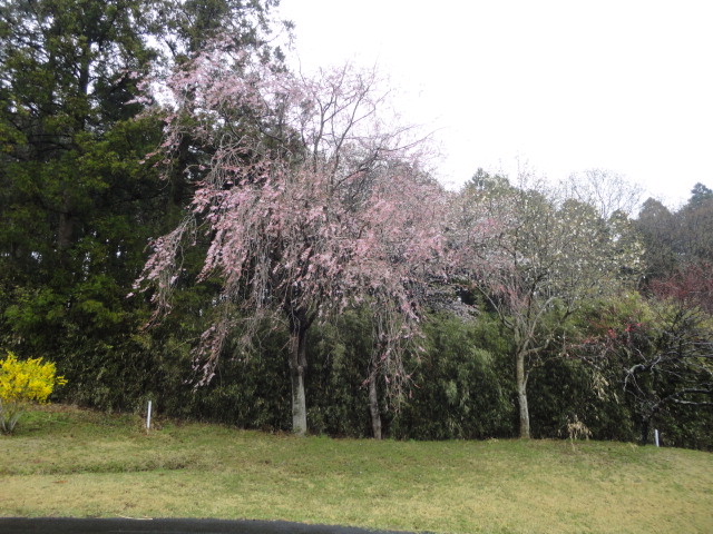 20140406