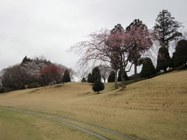 20140406