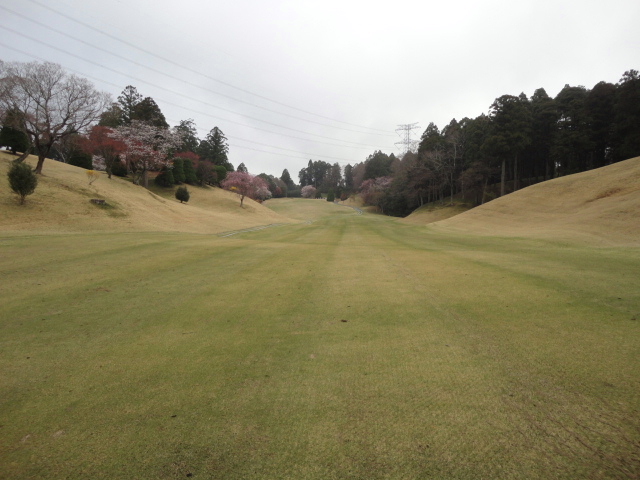 20140406