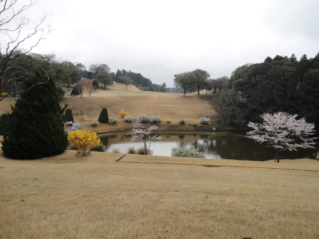 20140406