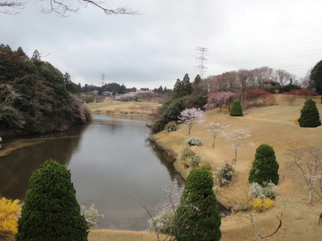 20140406