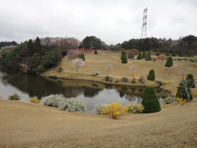 20140406