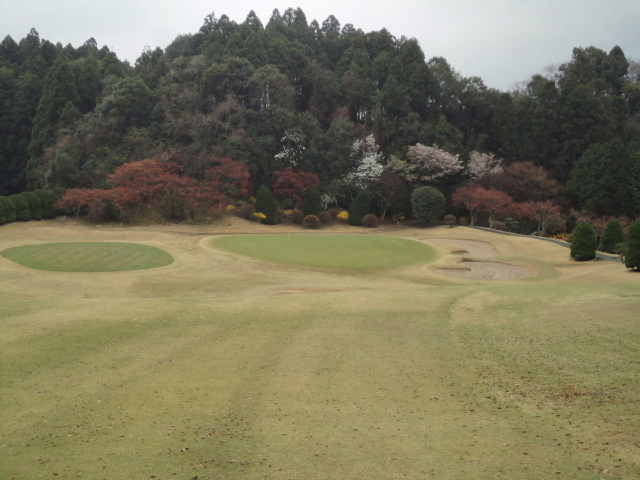 20140406