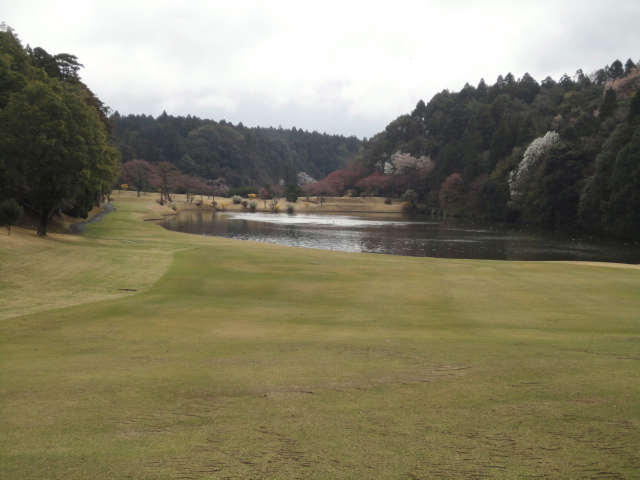 20140406