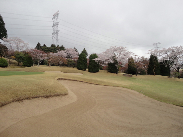 20140406