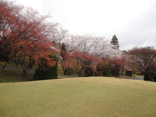 20140406