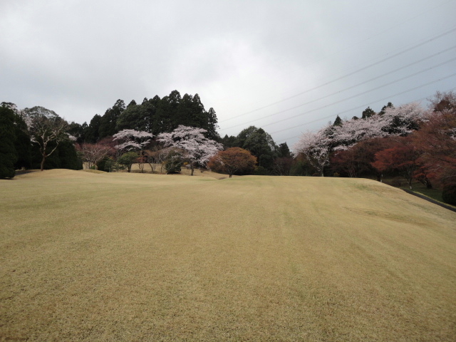 20140406