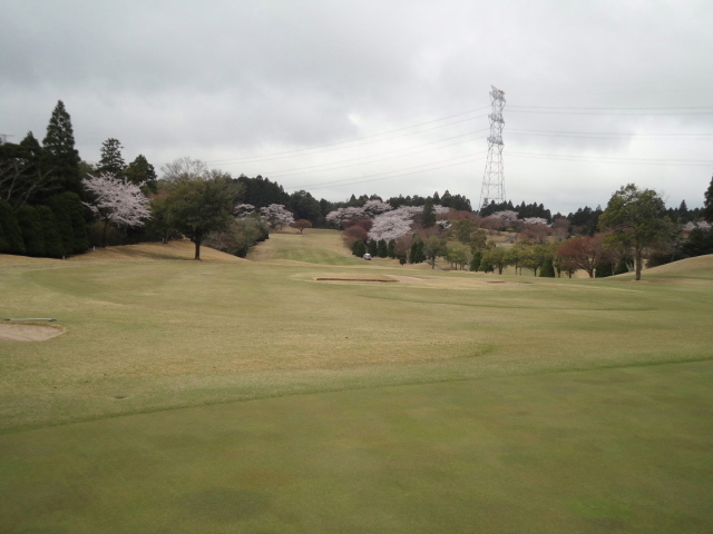 20140406