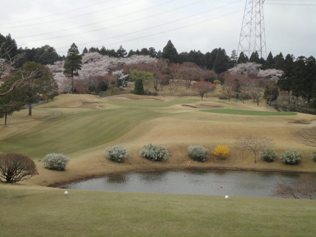 20140406