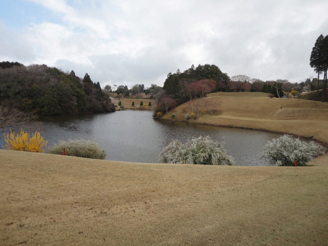 20140406