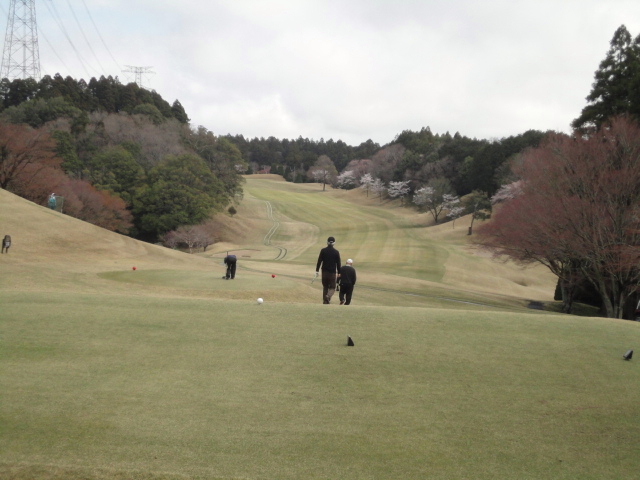 20140406
