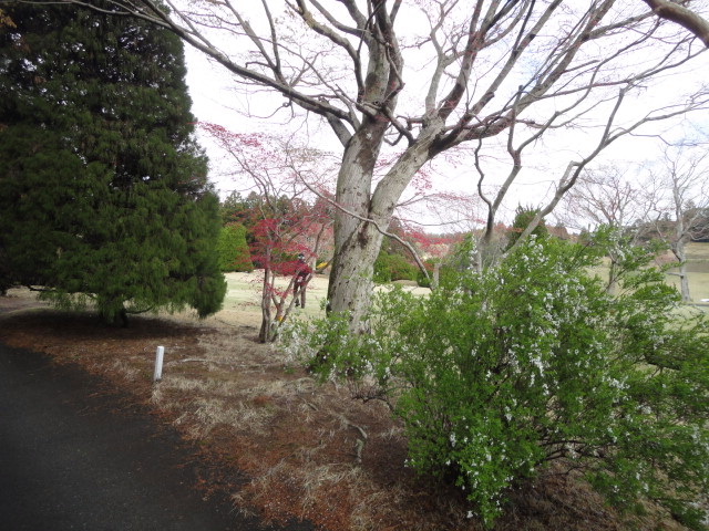 20140406