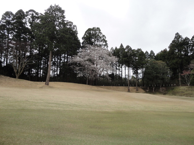20140406