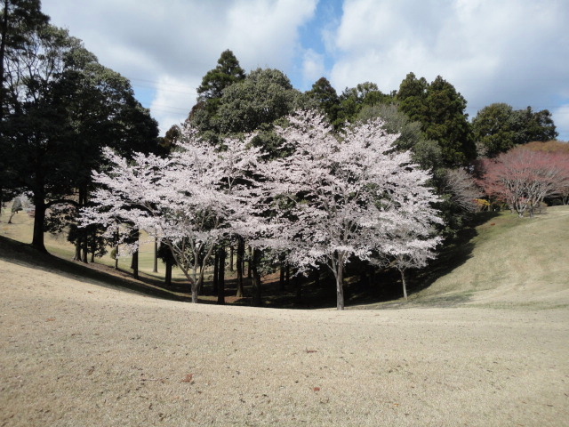 20140406