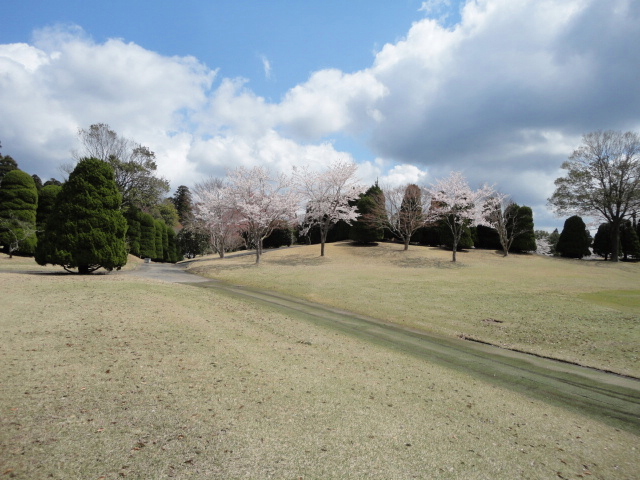 20140406