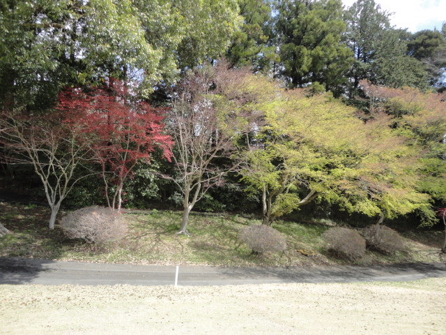20140406