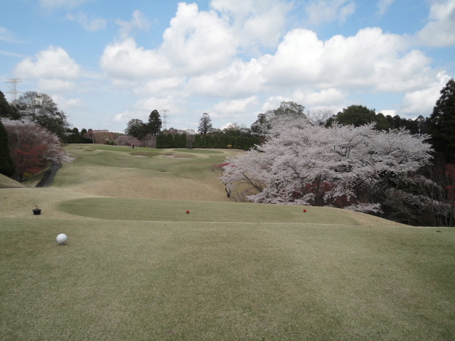 20140406