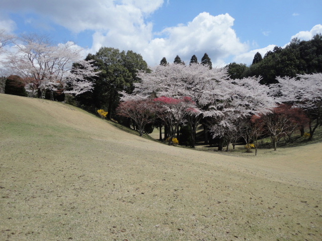 20140406