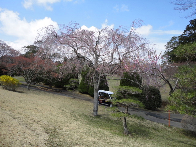 20140406