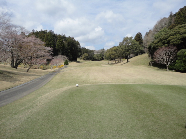 20140406