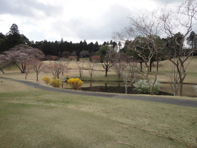 20140406