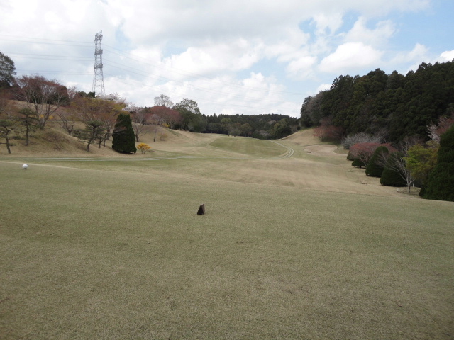 20140406