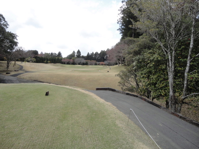20140406