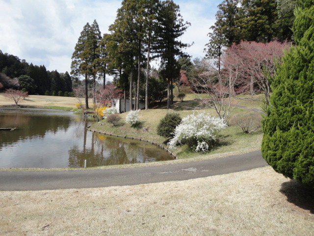 20140406